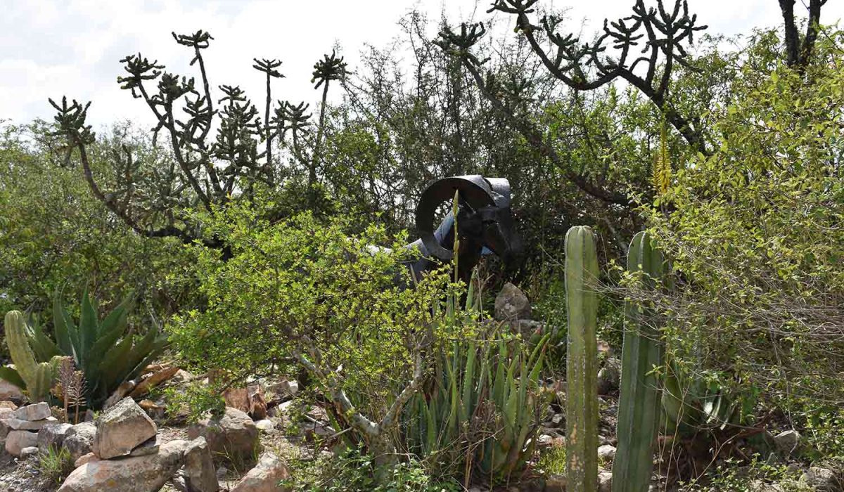 ecoturismo-los-cuervos (18)