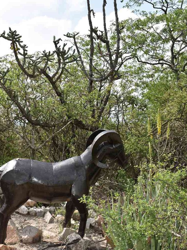 Recorrido en Safari