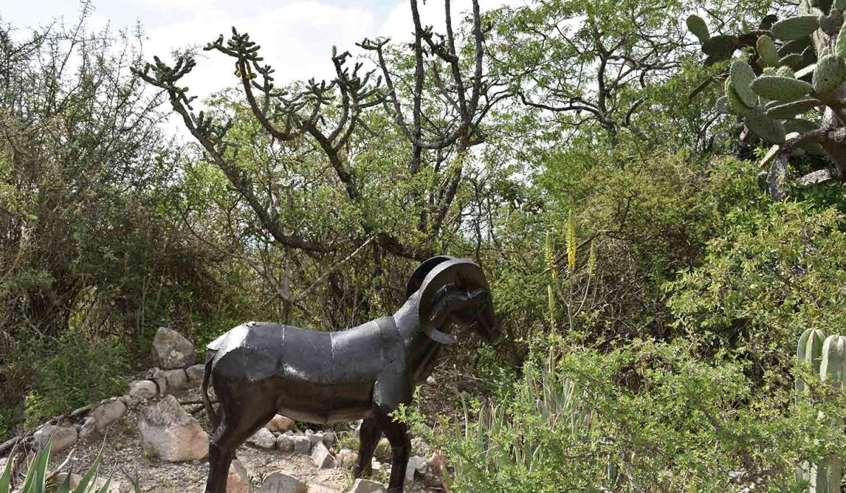 Recorrido en Safari