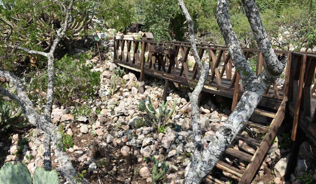 ecoturismo-los-cuervos (28)