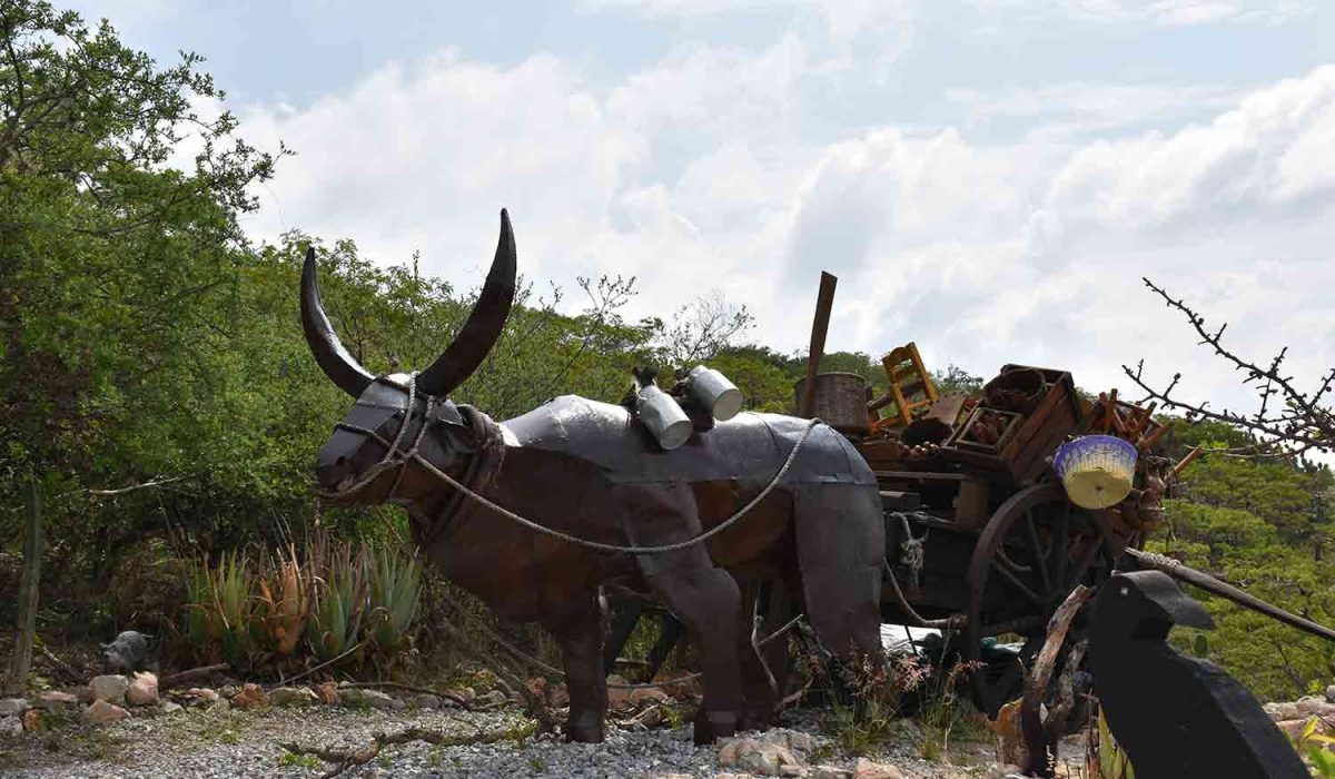 ecoturismo-los-cuervos (8)